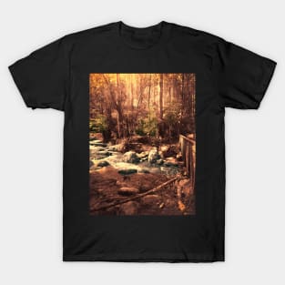 Toorongo River, Noojee T-Shirt